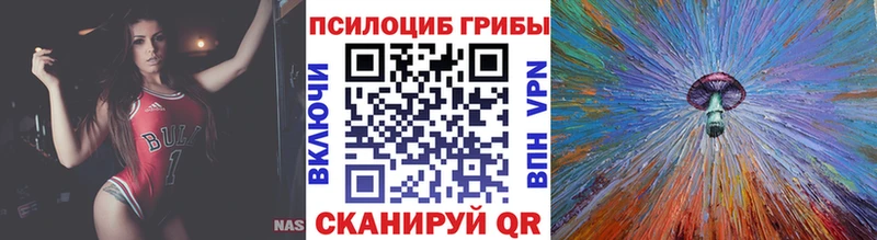 купить наркотики цена KRAKEN сайт Псилоцибиновые грибы GOLDEN TEACHER Зуевка